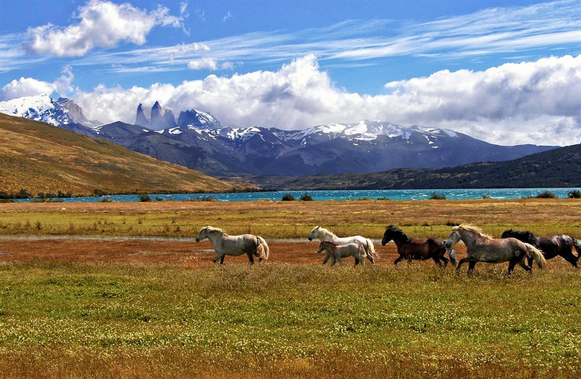 Torres del Paine, Magallanes and Chilean Antarctica, Chile - Image from André Ulysses De Salis on Pexels