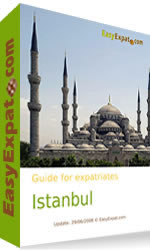 Guide pour expatriés sur Istanbul